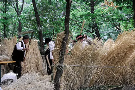 Vallée d'Aoste, fête gastronomique du lard d'Arnad. Battage du blé à l'ancienne. 