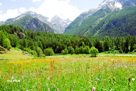 Marais de Bionaz, Vallée d'Aoste