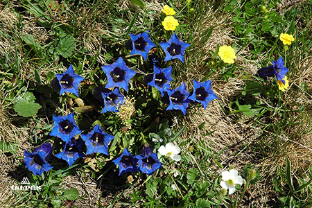 Les Jardins Secrets à Vaulx, Haute-Savoie