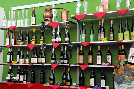 Cépage vallée d'Aoste